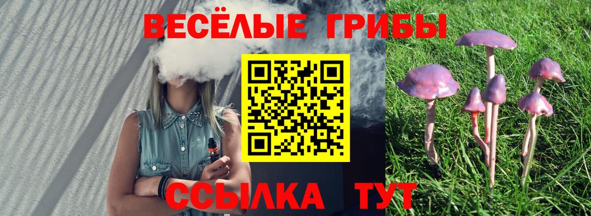 Псилоцибиновые грибы мухоморы  Вход с VPN  Североуральск 